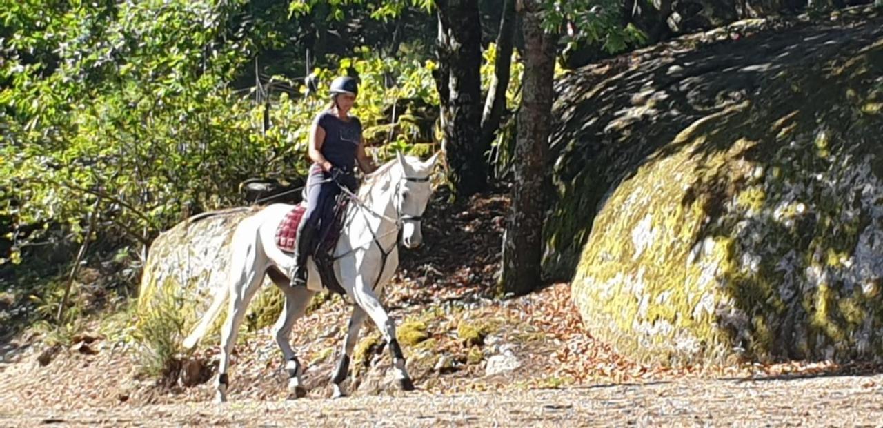 Quinta Da Quinta Lägenhet Vieira do Minho Exteriör bild